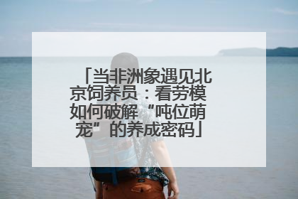 当非洲象遇见北京饲养员：看劳模如何破解“吨位萌宠”的养成密码